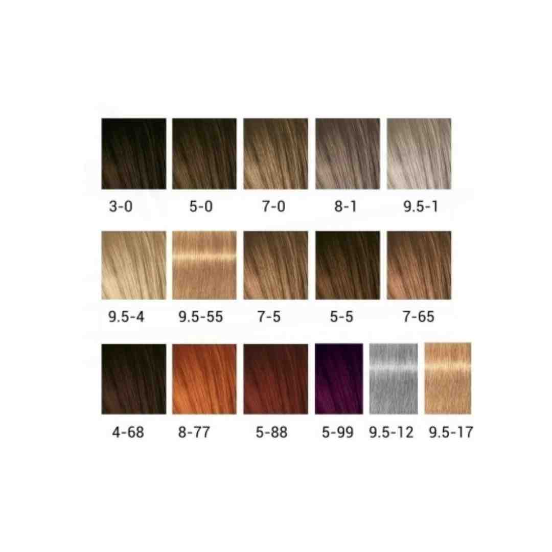 Schwarzkopf Igora Expert Mousse